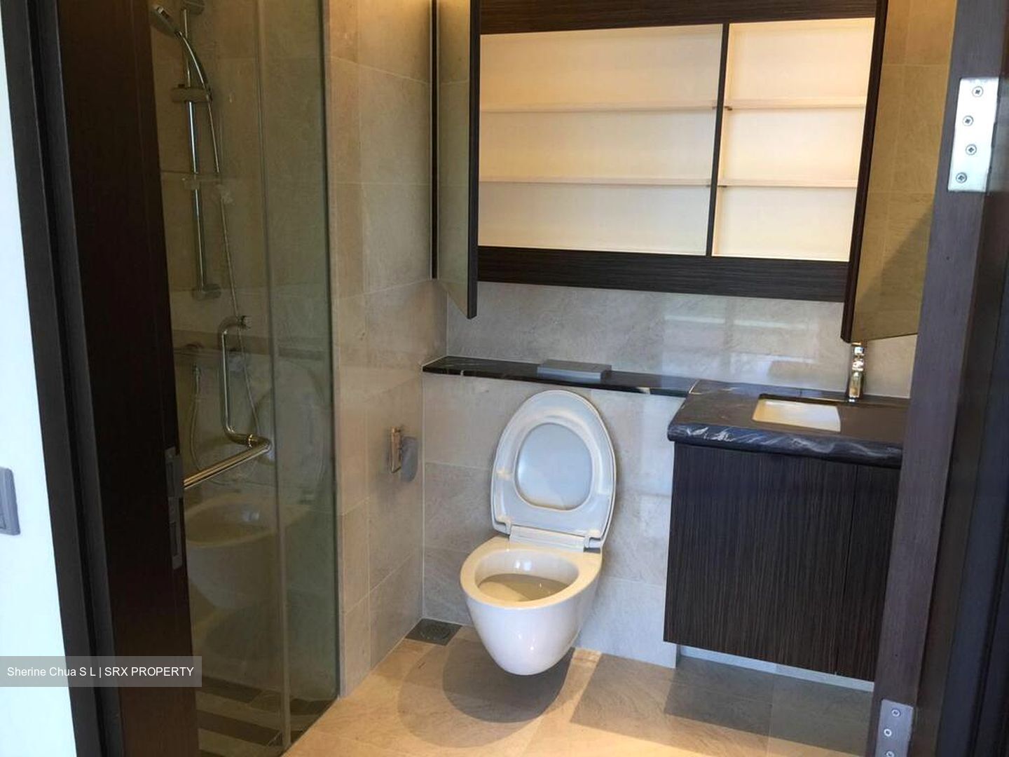 Three Balmoral (D10), Apartment #460958851